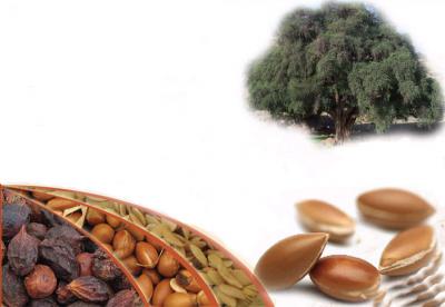 Aceite de Argan